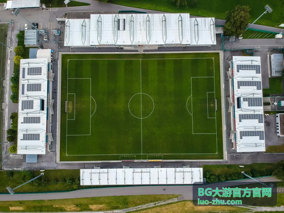 BG大游官方官网资讯动态